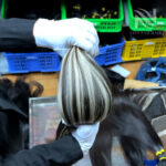 Light Piano Hair Bulk