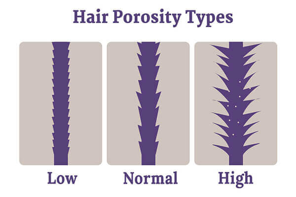 What Is Hair Porosity And What It Means For Your Hair?