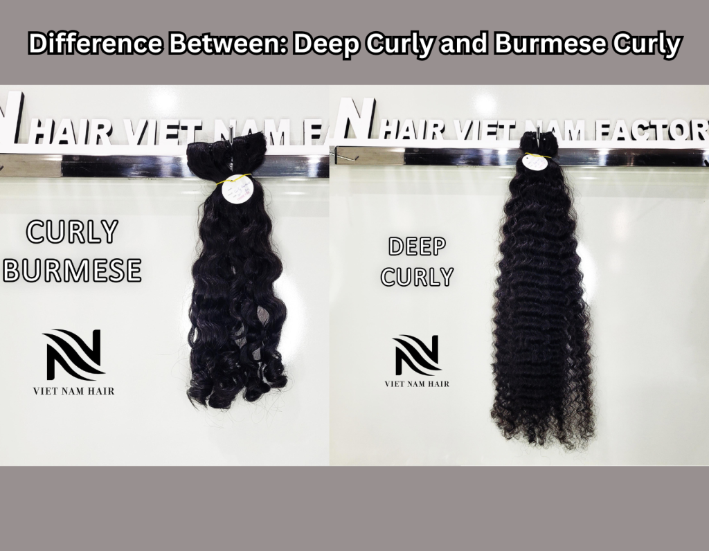 Deep Curly and Burmese Curly comparison