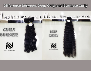 Deep Curly and Burmese Curly comparison