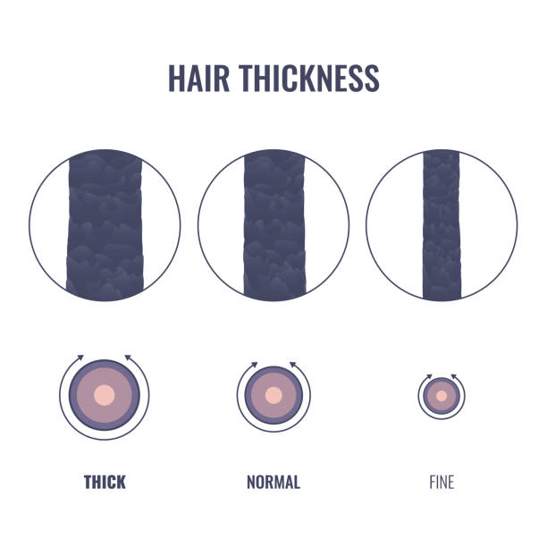 Hair Thickness and What You Need to Know