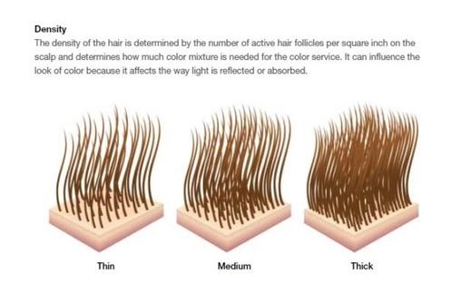 Hair Extensions for Thin Hair Expert Tips to Choose the Right Method