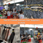 Top 10 Trusted Vietnam Hair Suppliers in 2025